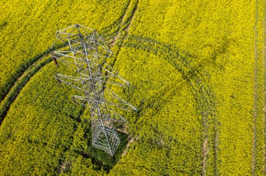kolza alanında powerlines