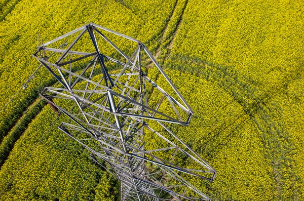 Líneas eléctricas en el campo de colza —  Fotos de Stock