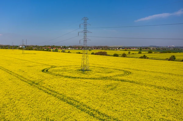 Kraftledningar på raps fält — Stockfoto