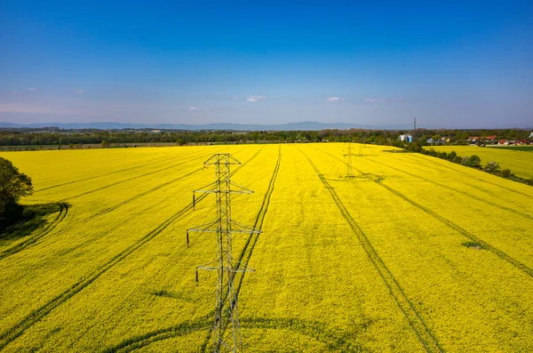 Kolza alanında powerlines — Stok fotoğraf