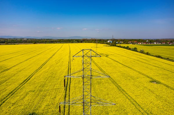 Kolza alanında powerlines — Stok fotoğraf