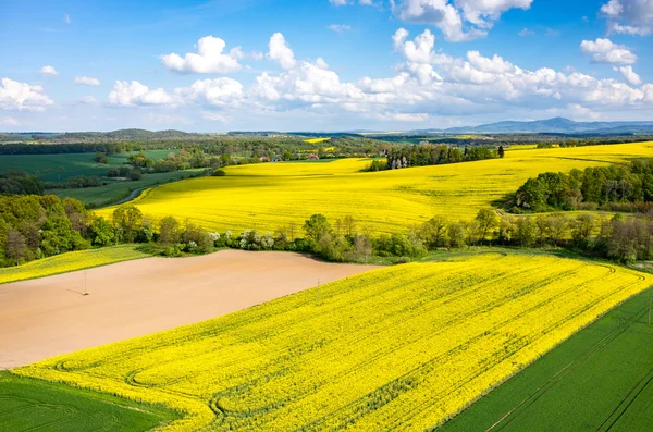 Campo di Colza — Foto Stock