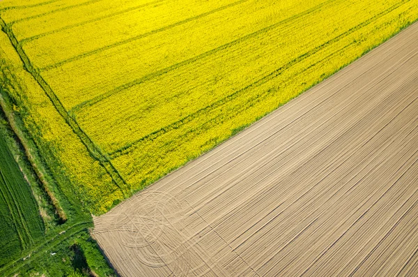 Traktor spår — Stockfoto