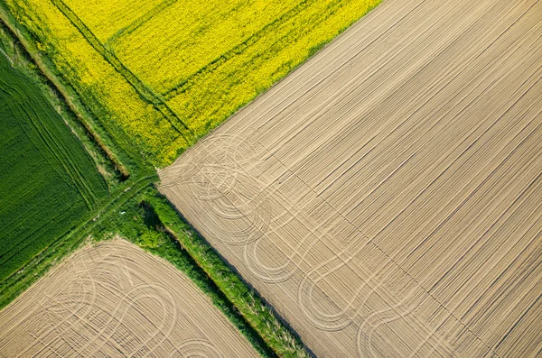 Tractor traces — Stock Photo, Image