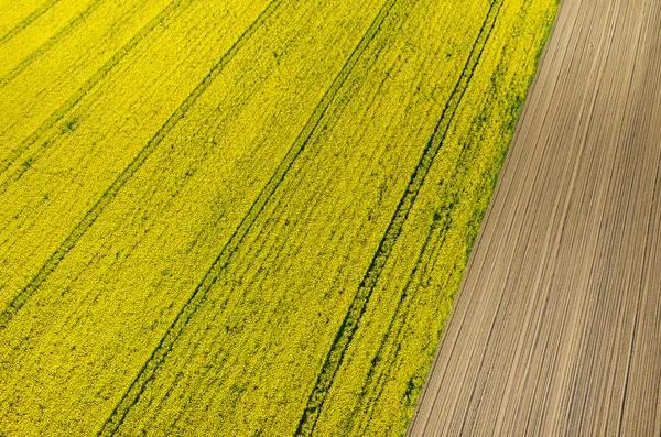 Traktorspuren — Stockfoto