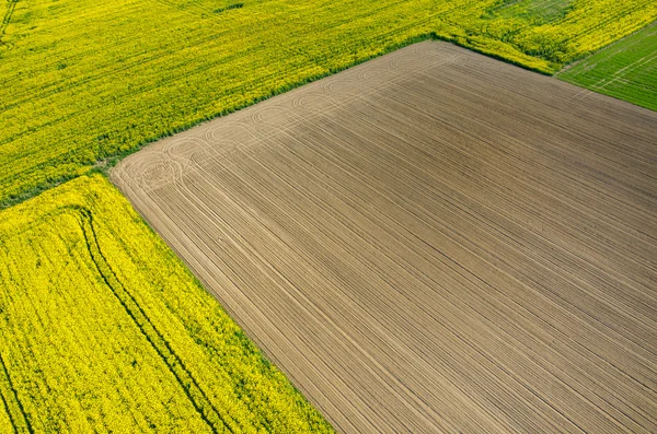 Tractor traces — Stock Photo, Image