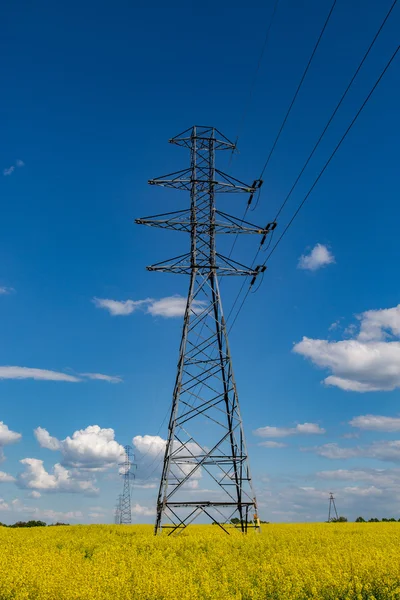 Linee elettriche sul campo stupro — Foto Stock