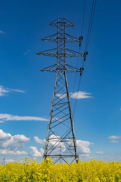 Rozvody elektrické energie na poli řepky — Stock fotografie