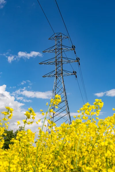 Powerlines tecavüz alan — Stok fotoğraf