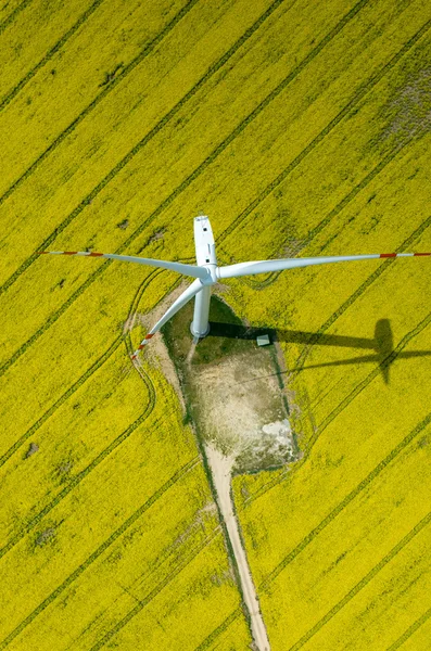 Väderkvarnar Flygfoto — Stockfoto