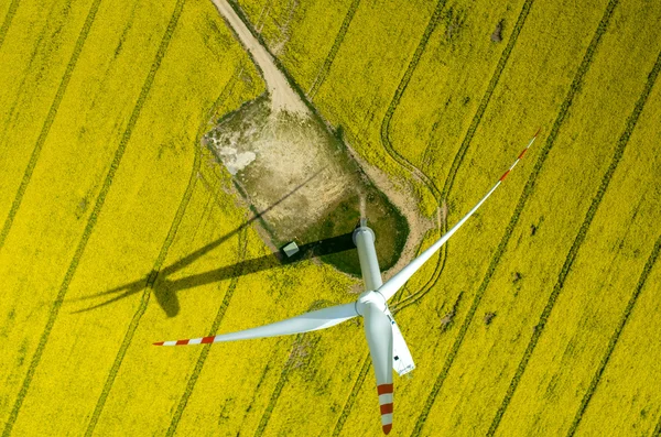 Windmills pandangan udara — Stok Foto