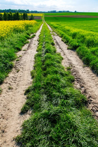 Straße zwischen Feldern — Stockfoto