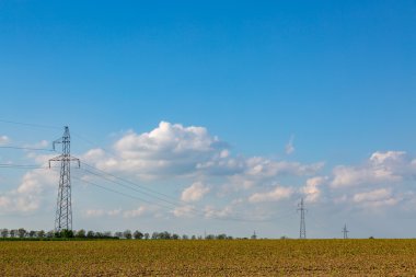 Powerlines Mısır sahada