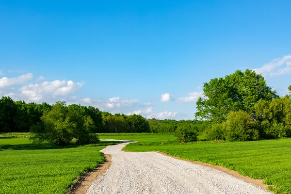 Weg tussen velden — Stok fotoğraf