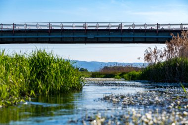 Köprünün parçası
