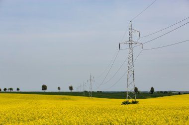 powerlines tecavüz alan