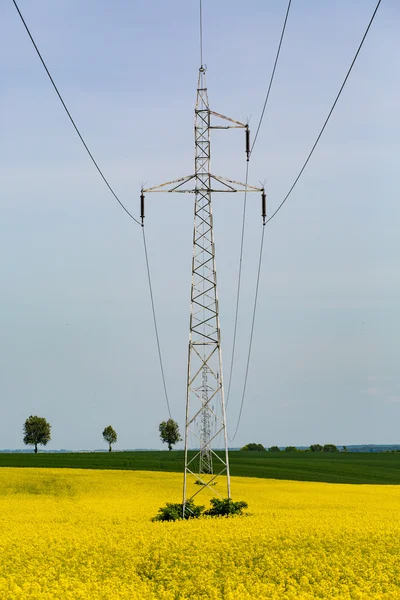 Powerlines on rape field — Stock Photo, Image