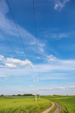 Powerlines olgun tecavüz alan