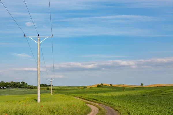 Powerlines su campo di stupro maturo — Foto Stock