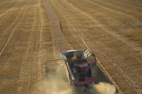 Kombinieren die Arbeit auf dem Feld — Stockfoto