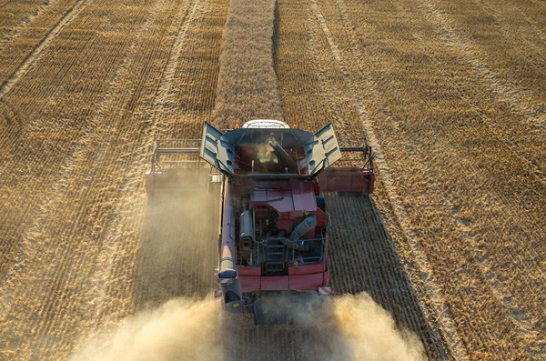 Combine working on the field — Stock Photo, Image