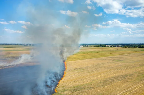 Огонь на поле — стоковое фото