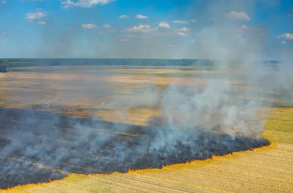 Vuur op het veld — Stockfoto