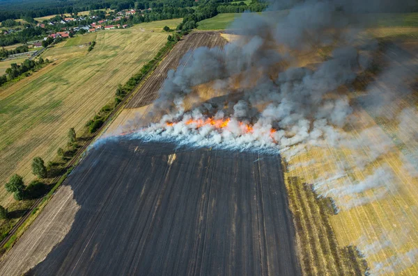 Vuur op het veld — Stockfoto