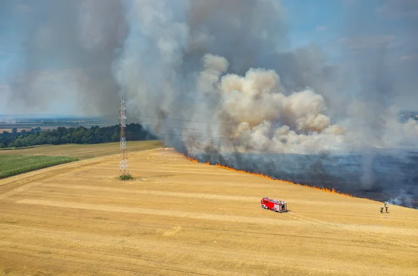 Camión bombero trabajando en el campo en llamas — Foto de Stock