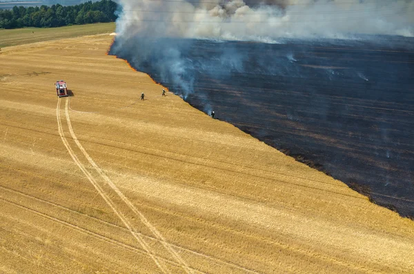 Brandweerman vrachtwagen werken op het veld op brand — Stockfoto