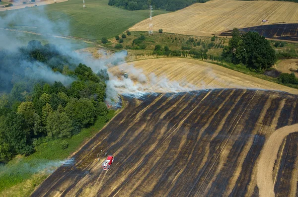 Brandweerman vrachtwagen werken op het veld op brand — Stockfoto