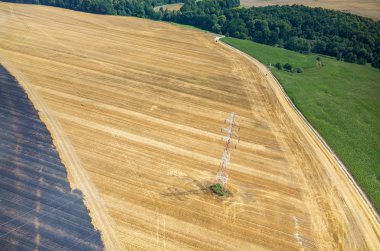 Powerlines buğday alanında