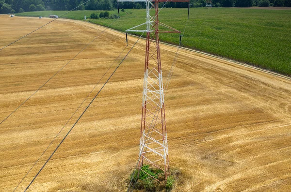 Líneas eléctricas en el campo de trigo —  Fotos de Stock