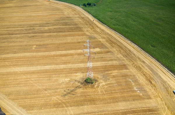 Stromleitungen auf dem Weizenfeld — Stockfoto