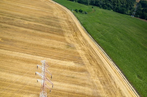 Líneas eléctricas en el campo de trigo —  Fotos de Stock