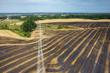 Powerlines buğday alanında