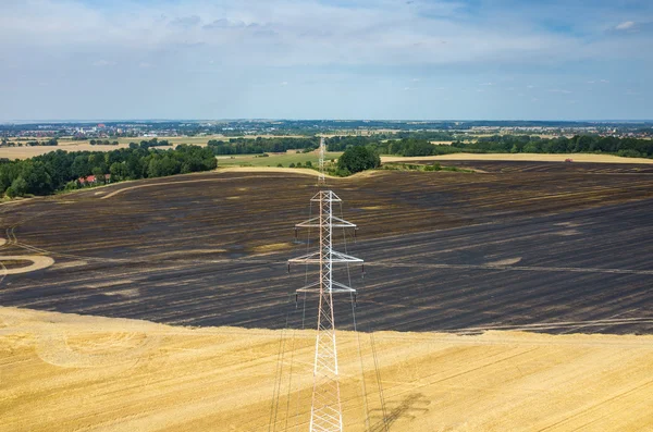 Powerlines buğday alanında — Stok fotoğraf