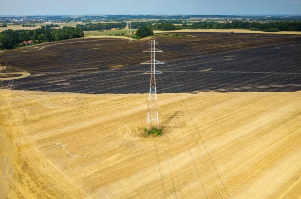 Powerlines buğday alanında — Stok fotoğraf