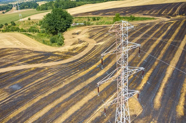 Lignes électriques sur champ de blé — Photo