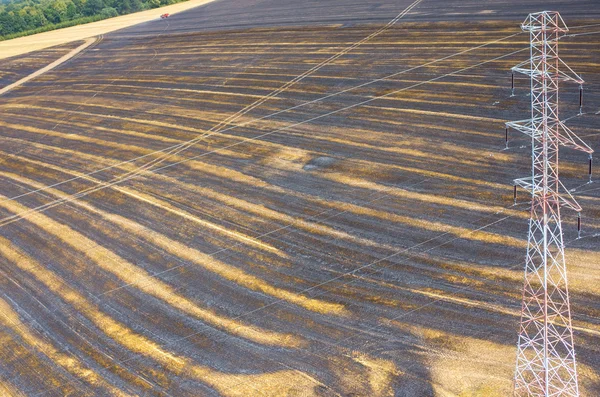 Powerlines buğday alanında