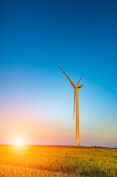 Sunset above the windmills — Stock Photo, Image