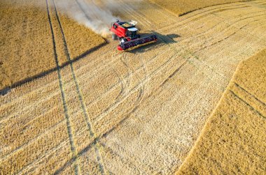 Birleştirir ve buğday sahada çalışan Traktörler
