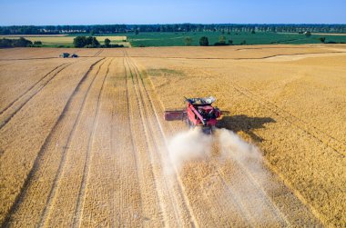 Birleştirir ve buğday sahada çalışan Traktörler