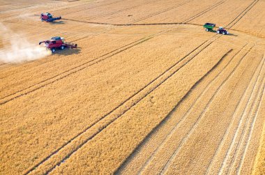 Birleştirir ve buğday sahada çalışan Traktörler