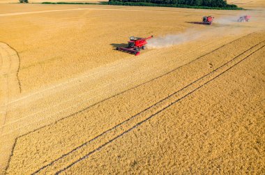 Birleştirir ve buğday sahada çalışan Traktörler