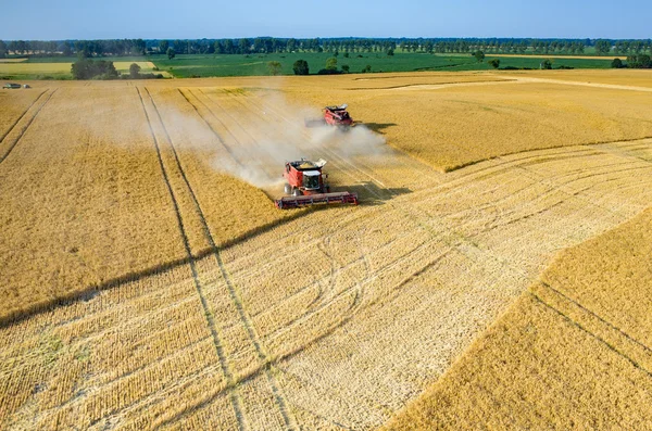 Combineert en trekkers werken op het tarweveld — Stockfoto