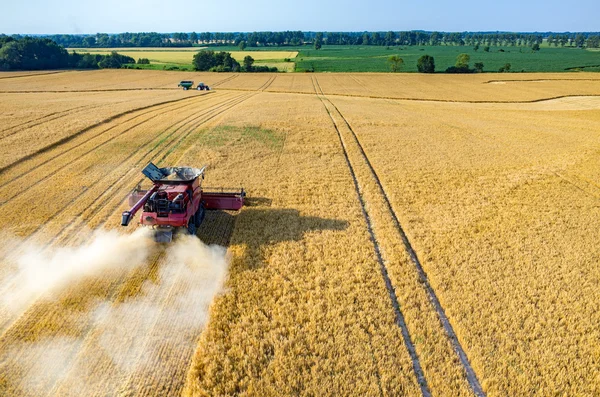 Combinazioni e trattori che lavorano sul campo di grano — Foto Stock