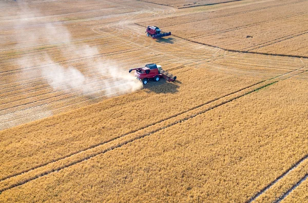 Skördetröskor och traktorer arbetar på fältet vete — Stockfoto