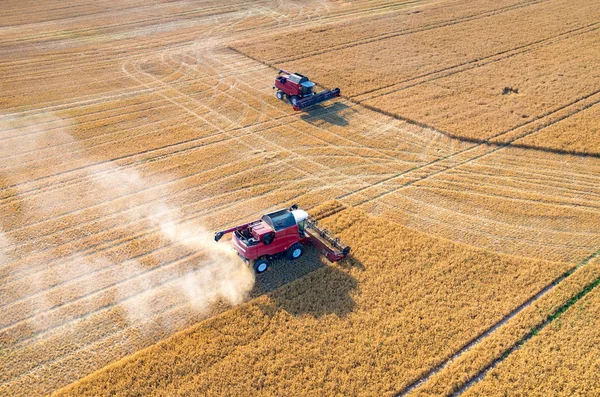 Combinaciones y tractores que trabajan en el campo de trigo — Foto de Stock