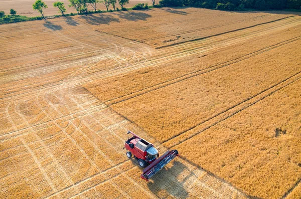 Combinaisons et tracteurs travaillant sur le champ de blé — Photo